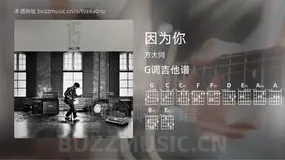 因为你 方大同 吉他谱G调简单版