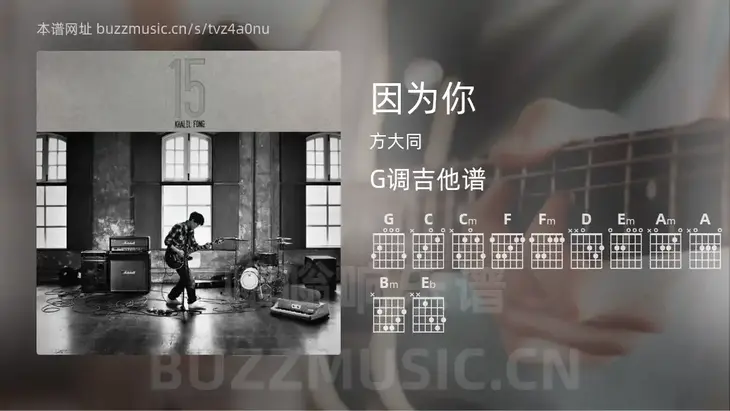 因为你 方大同 吉他谱G调简单版