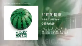 泸沽湖情歌 左小祖咒,朱婧汐JING 吉他谱G调简单版
