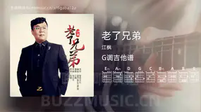 老了兄弟 江枫 吉他谱G调简单版