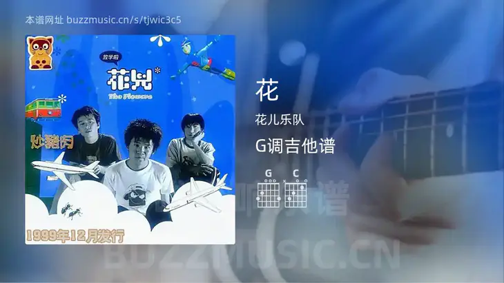 花 花儿乐队 吉他谱G调简单版