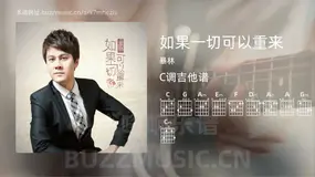 如果一切可以重来 暴林 吉他谱C调简单版
