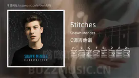 Stitches Shawn Mendes 吉他谱C调简单版