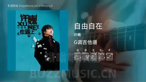 自由自在 许巍 吉他谱G调简单版