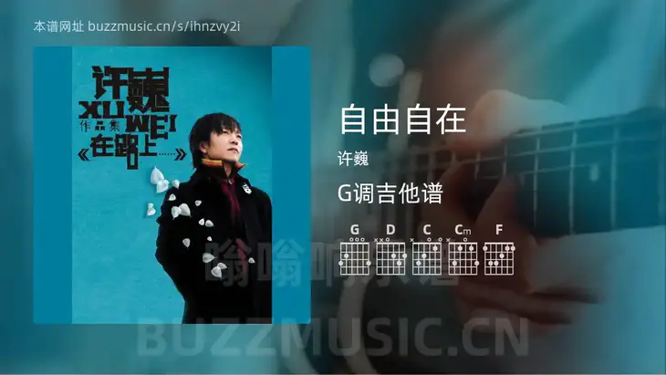 自由自在 许巍 吉他谱G调简单版