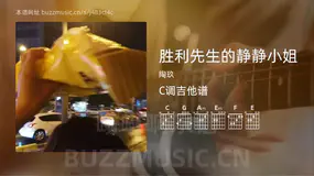 胜利先生的静静小姐 陶玖 吉他谱C调简单版