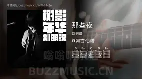 那些夜 刘明汉 吉他谱G调简单版