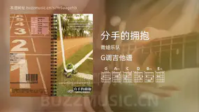分手的拥抱吉他谱G调 青蛙乐队 简单版