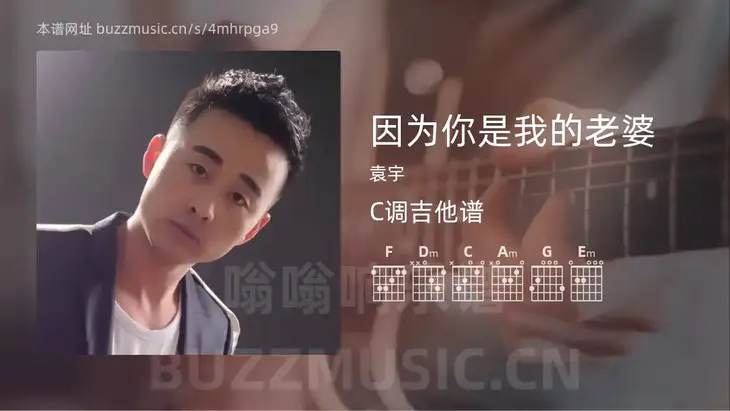 因为你是我的老婆 袁宇 吉他谱C调简单版