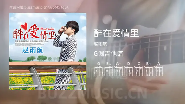 醉在爱情里 赵雨航 吉他谱G调简单版