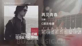 再见青春 汪峰 吉他谱C调简单版