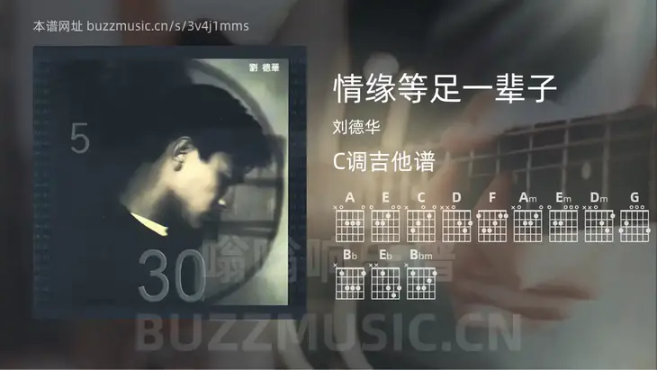 情缘等足一辈子 刘德华 吉他谱C调简单版