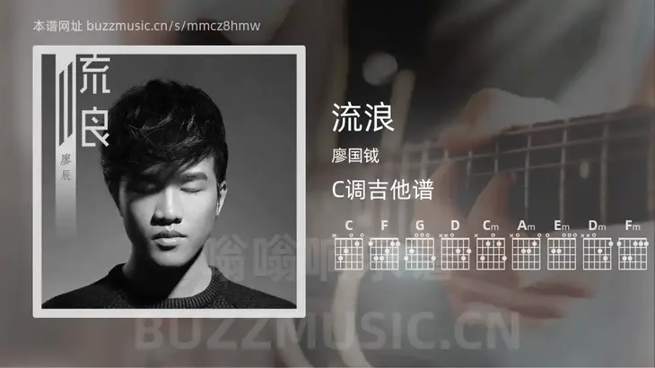 流浪 廖国钺 吉他谱C调简单版