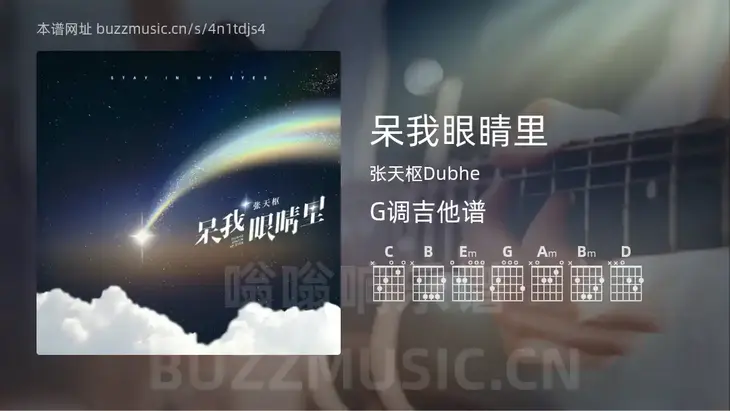 呆我眼睛里吉他谱G调 张天枢Dubhe 简单版