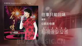 往事只能回味 蔡琴 吉他谱G调简单版