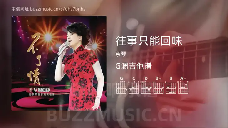 往事只能回味 蔡琴 吉他谱G调简单版