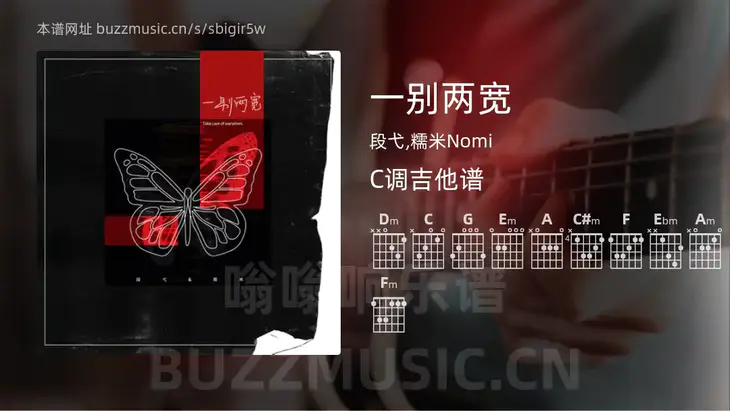 一别两宽吉他谱C调 段弋,糯米Nomi 简单版