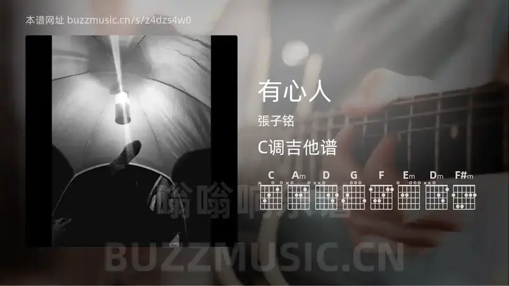 有心人 張子铭 吉他谱C调简单版