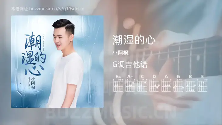 潮湿的心 小阿枫 吉他谱G调简单版