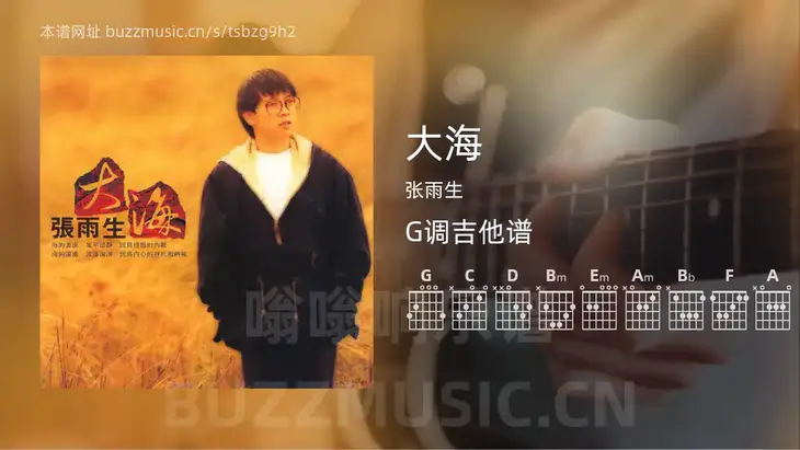 大海 张雨生 吉他谱G调简单版