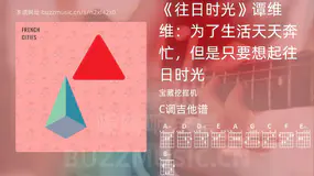 《往日时光》谭维维:为了生活天天奔忙,但是只要想起往日时光 宝藏挖掘机 吉他谱C调简单版