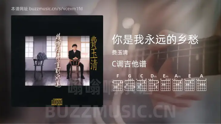你是我永远的乡愁 费玉清 吉他谱C调简单版