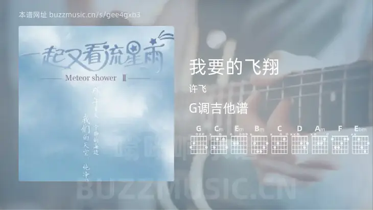 我要的飞翔 许飞 吉他谱G调简单版