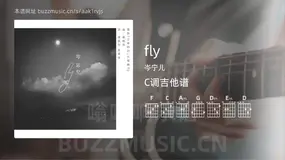 fly 岑宁儿 吉他谱C调简单版