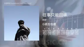 往事只能回味 阿虾 吉他谱G调简单版