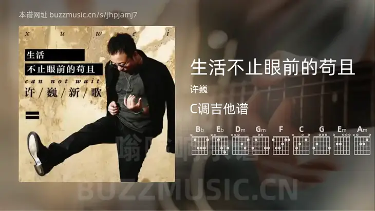 生活不止眼前的苟且 许巍 吉他谱C调简单版
