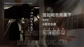 泪如相思雨落下 郑亦辰 吉他谱G调简单版