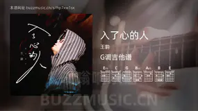 入了心的人 王韵 吉他谱G调简单版
