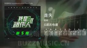 走失 陈粒 吉他谱G调简单版