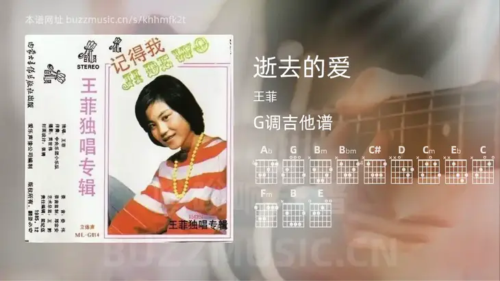 逝去的爱 王菲 吉他谱G调简单版