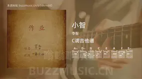 小智吉他谱C调 李智 简单版