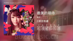 最美的期待 单夕 吉他谱C调简单版