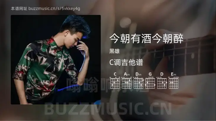 今朝有酒今朝醉吉他谱C调 黑雄 简单版
