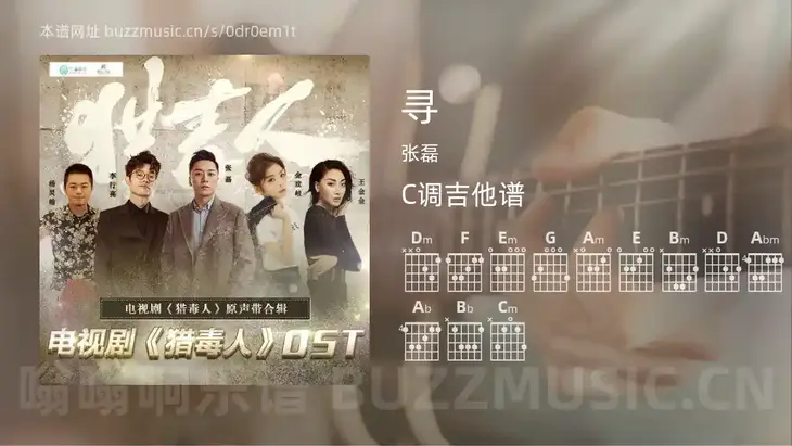 寻 张磊 吉他谱C调简单版