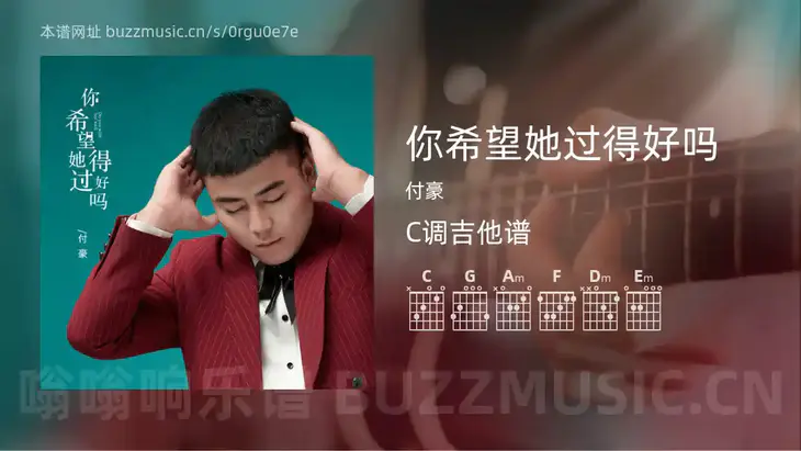 你希望她过得好吗 付豪 吉他谱C调简单版