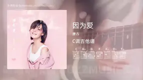 因为爱 唐古 吉他谱C调简单版