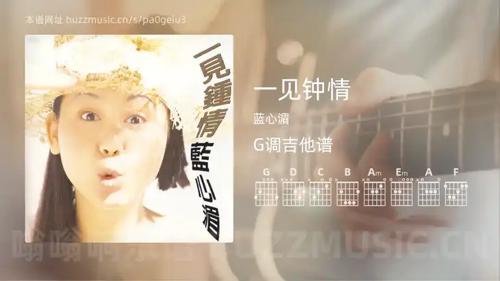 一见钟情 蓝心湄 吉他谱G调简单版