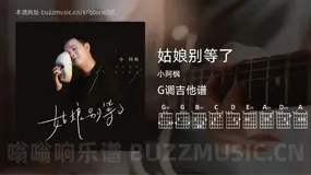 姑娘别等了 小阿枫 吉他谱G调简单版