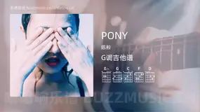 PONY 陈粒 吉他谱G调简单版