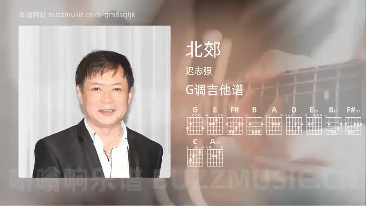 北郊 迟志强 吉他谱G调简单版