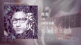青春 汪峰 吉他谱G调简单版