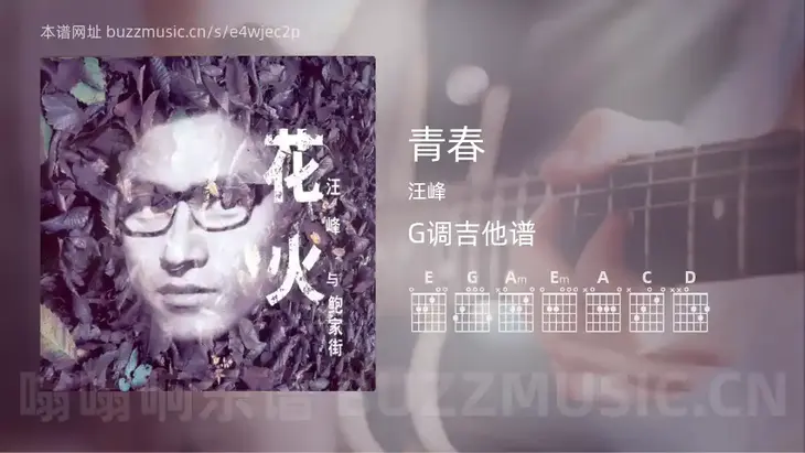 青春 汪峰 吉他谱G调简单版