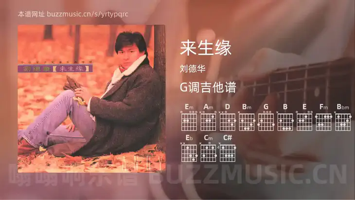 来生缘 刘德华 吉他谱G调简单版