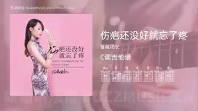 伤疤还没好就忘了疼吉他谱C调 蔷薇团长 简单版