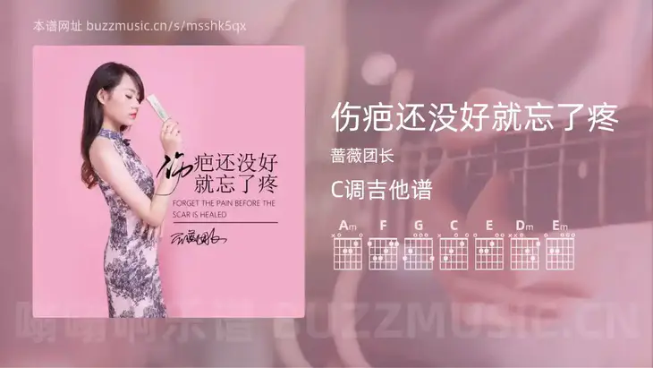 伤疤还没好就忘了疼吉他谱C调 蔷薇团长 简单版