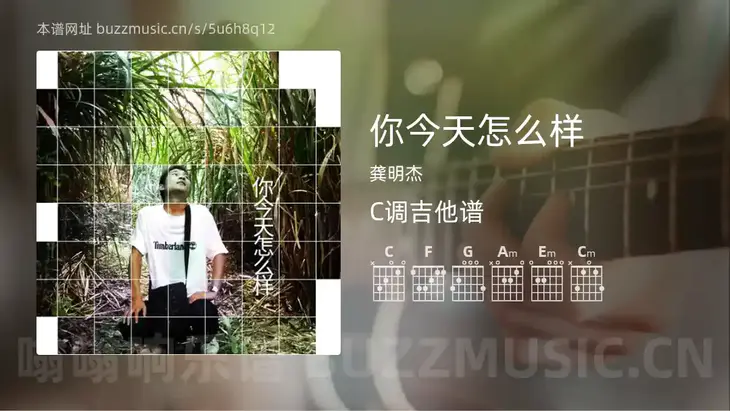 你今天怎么样 龚明杰 吉他谱C调简单版